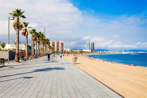 playa gay barcelona|Barcelona Gay Beach Guide 2025